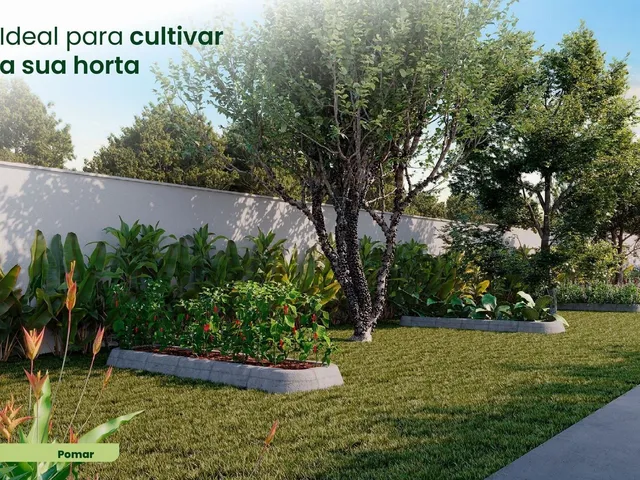 Imagem 14: Conquiste Seu Primeiro Imóvel pelo Minha Casa Minha Vida - Oportunidade Única