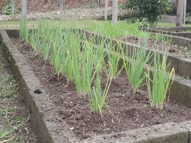 Imagem 3: Sítio à venda no bairro Gaspar Alto - Gaspar/SC