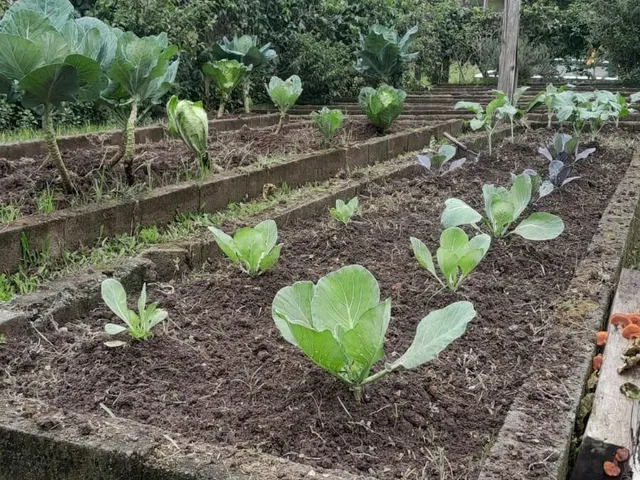 Imagem 12: Sítio à venda no bairro Gaspar Alto - Gaspar/SC