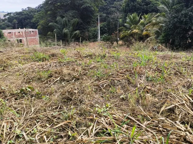 Imagem 2: Chácara Á Venda Córrego Água Limpa Caratinga!!!