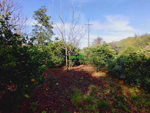 Imagem 6: Chácara de 1 ha com casa