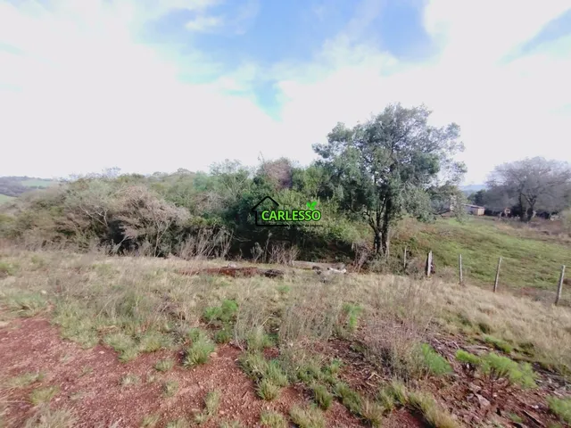 Imagem 14: Chácara de 1 ha com casa