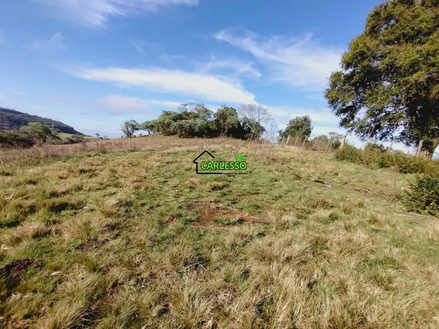 Imagem 5: Chácara de 1 ha com casa
