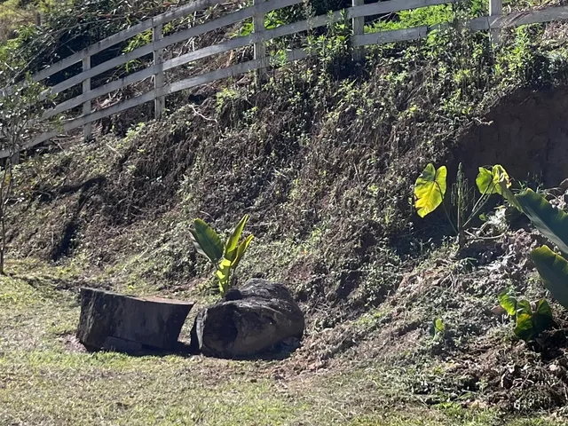 Imagem 14: Chácara no Biguá: 3 Quartos, 2 Suítes, 110m², area construída e 2500 m2 de terreno