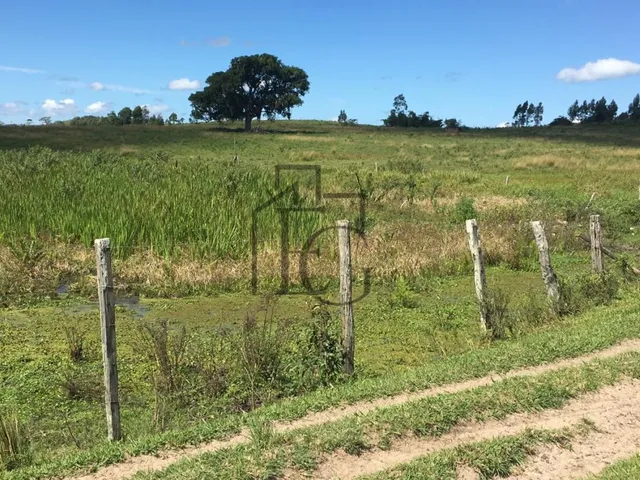 Imagem 2: Fazenda à Venda em São Vicente