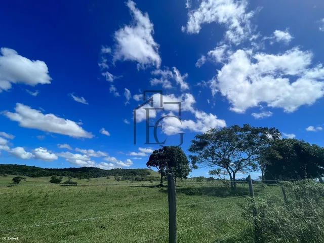 Imagem 8: Fazenda à Venda em São Vicente
