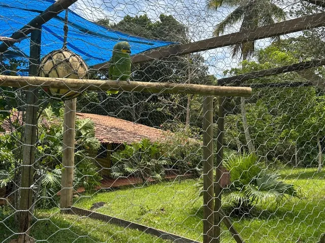 Imagem 16: 0 Fazenda / sítio com 19 dormitórios