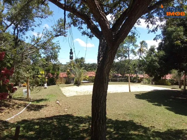 Imagem 5: 0 Fazenda / sítio com 19 dormitórios