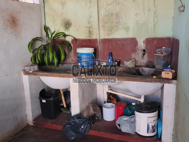 Imagem 9: Colonias Bairro Osvaldo Rezende