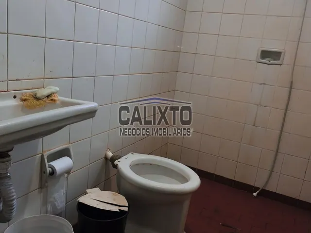 Imagem 11: Colonias Bairro Osvaldo Rezende