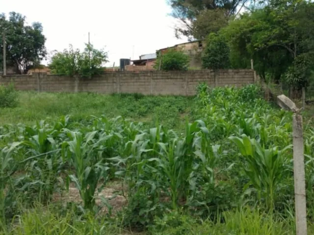 Imagem 4: Chácara À Venda em Cosmópolis-Sp, Bairro Área Rural: 1 Quarto, 1 Banheiro, 0,01 M² de Área!