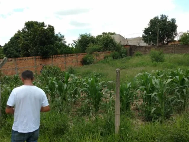 Imagem 10: Chácara À Venda em Cosmópolis-Sp, Bairro Área Rural: 1 Quarto, 1 Banheiro, 0,01 M² de Área!