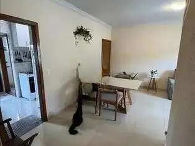 Imagem 4: Apartamento à venda em Belo Horizonte, Padre Eustáquio, com 3 quartos, 75m²
