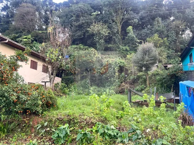 Imagem: Terreno Residencial À Venda em Nova Petrópolis