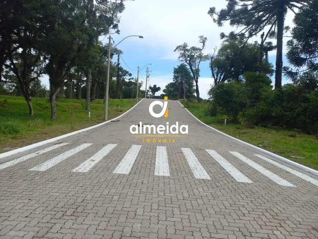 Imagem: Jardim do Farol - Loteamento na Zona Norte