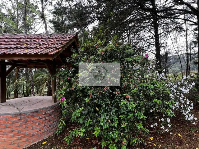 Imagem 8: Sítio com 30.000 m2, casa semi-nova com 4 dormitorios, fogão a lenha, porteira fechada