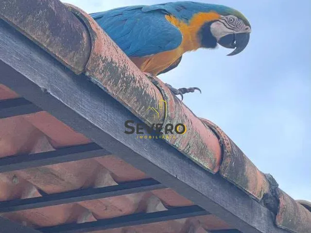 Imagem 13: Belíssima Casa à venda no bairro Barroco (Itaipuaçu) - Maricá/RJ