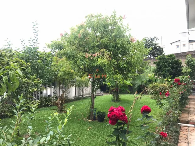 Imagem 6: Casa no Bairro Pio X em Farroupilha/Rs