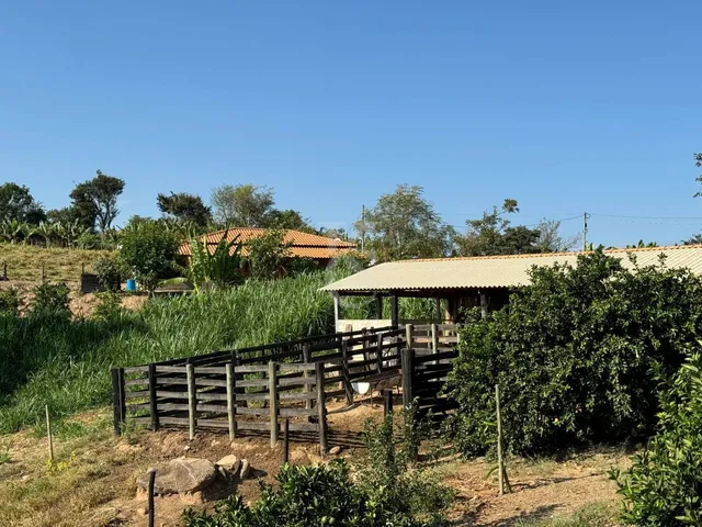 Imagem 15: Sítio À Venda em Espírito Santo do Pinhal/Sp