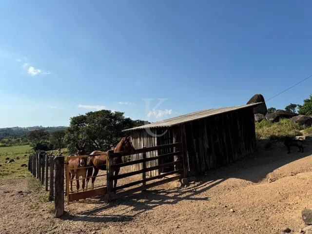 Imagem 2: Sítio À Venda em Espírito Santo do Pinhal/Sp