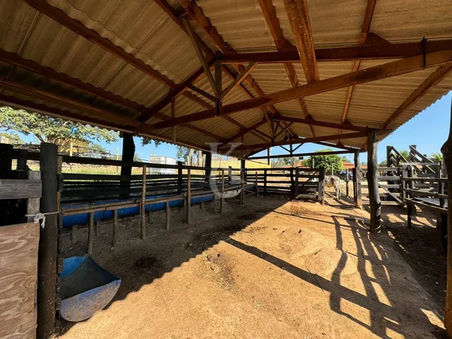 Imagem 4: Sítio À Venda em Espírito Santo do Pinhal/Sp