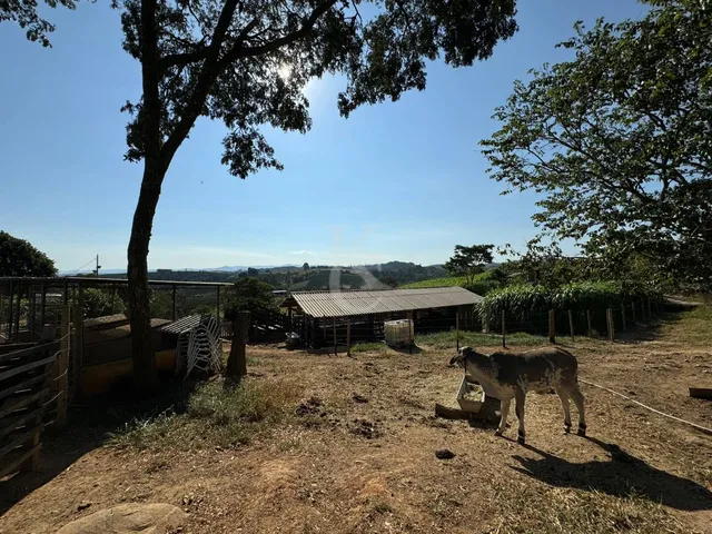 Imagem 7: Sítio À Venda em Espírito Santo do Pinhal/Sp