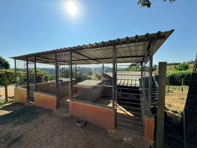 Imagem 11: Sítio À Venda em Espírito Santo do Pinhal/Sp