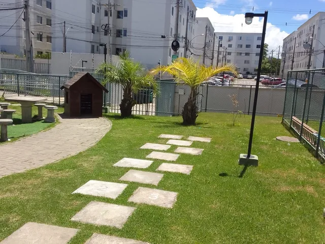 Imagem 8: 0 Apartamento com 2 dormitórios