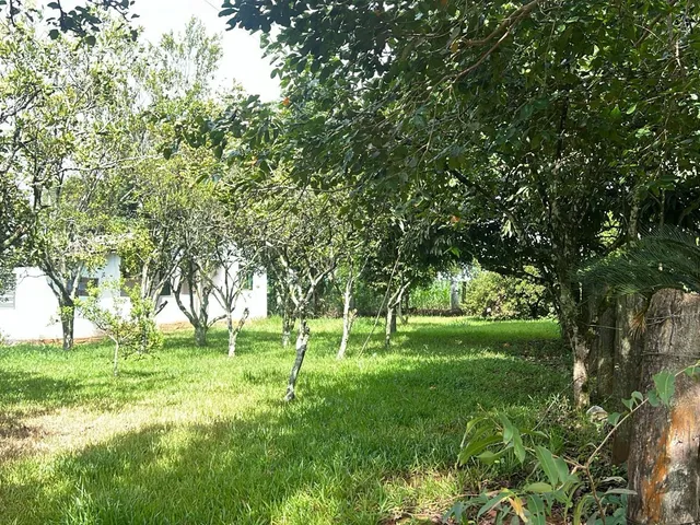 Imagem 6: Chácara a venda em Albardão!