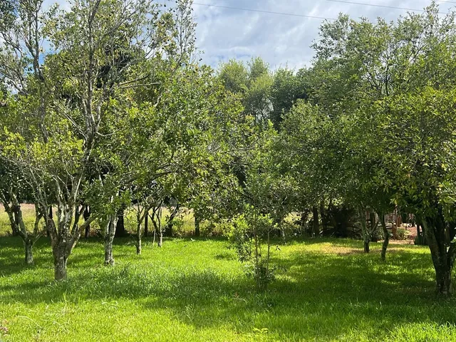 Imagem 2: Chácara a venda em Albardão!