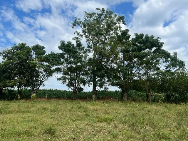 Imagem 3: Chácara a venda em Albardão!