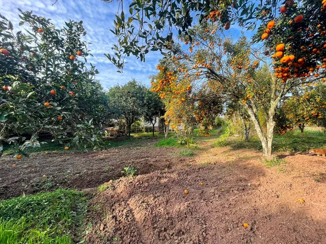 Imagem 8: Chácara em Cerro Alegre Baixo!