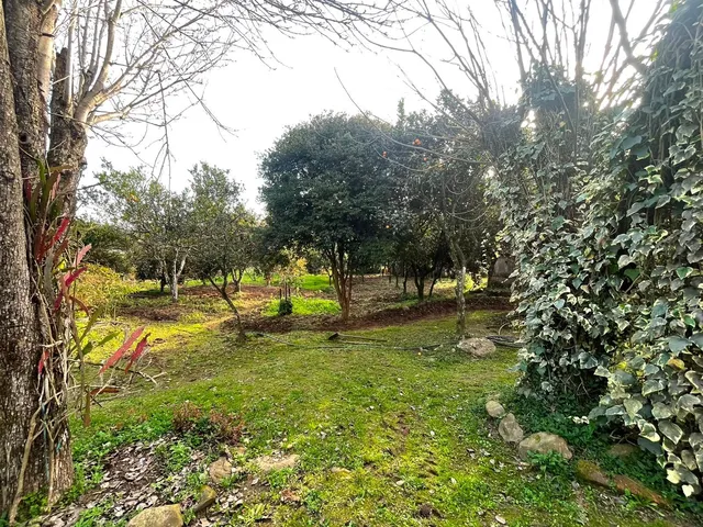 Imagem 6: Chácara em Cerro Alegre Baixo!