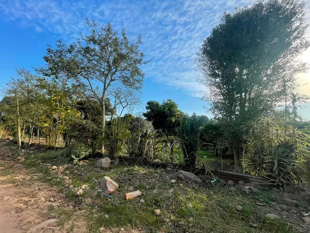 Imagem 2: Chácara em Cerro Alegre Baixo!