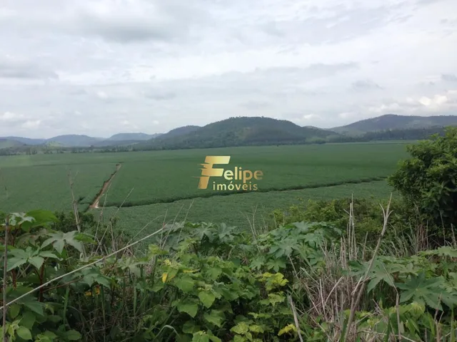 Imagem 10: Excelente Fazenda com 4.600 Hectares, À Venda em Nanuque/Mg