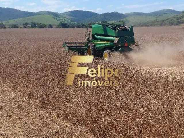 Imagem 7: Excelente Fazenda com 4.600 Hectares, À Venda em Nanuque/Mg