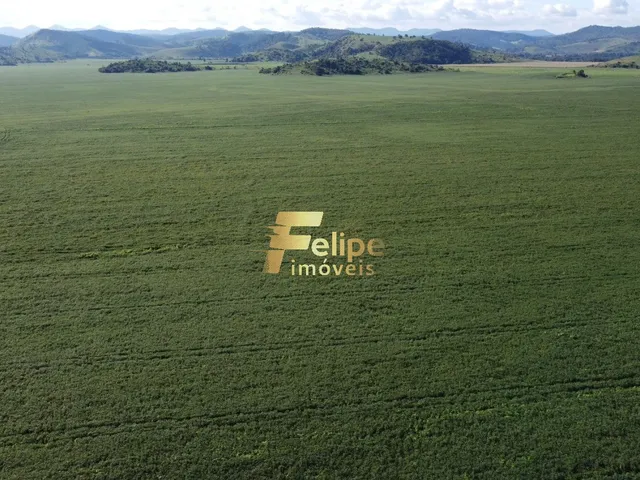 Imagem 4: Excelente Fazenda com 4.600 Hectares, À Venda em Nanuque/Mg