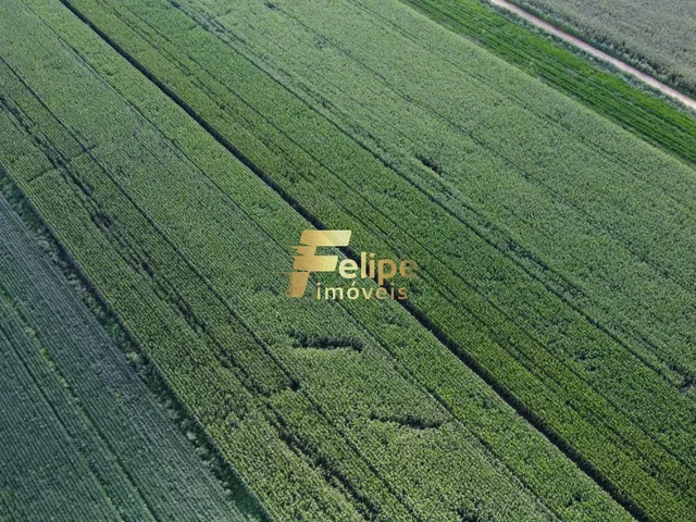 Imagem 13: Excelente Fazenda com 4.600 Hectares, À Venda em Nanuque/Mg