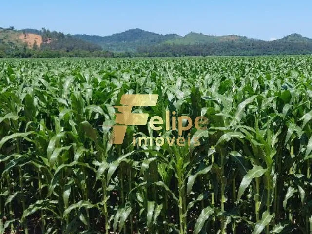 Imagem 6: Excelente Fazenda com 4.600 Hectares, À Venda em Nanuque/Mg
