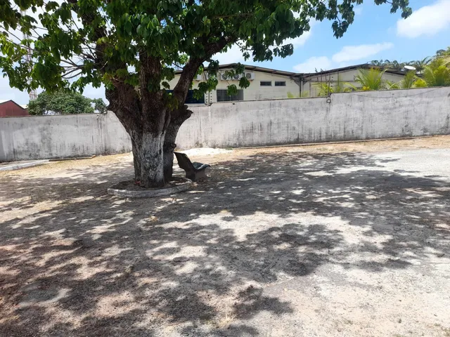 Imagem 6: Apartamento turu primeiro andar
