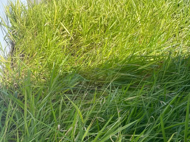 Imagem 2: Terreno em Jardim Salessi, Itatiba/Sp
