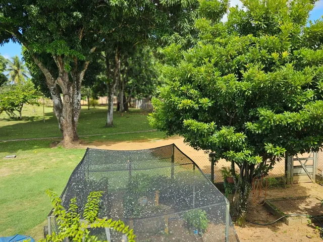 Imagem 15: FAZENDA RESIDENCIAL em CAMAÇARI - BA, MACHADINHO
