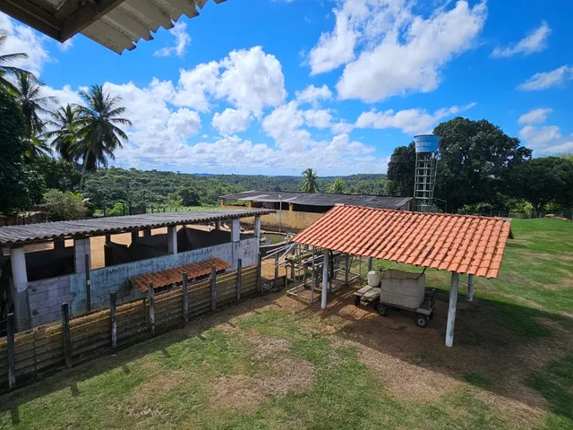 Imagem 6: FAZENDA RESIDENCIAL em CAMAÇARI - BA, MACHADINHO