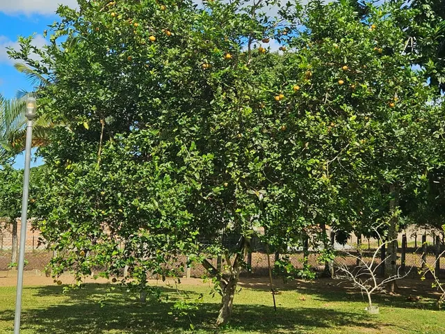 Imagem 16: FAZENDA RESIDENCIAL em CAMAÇARI - BA, MACHADINHO