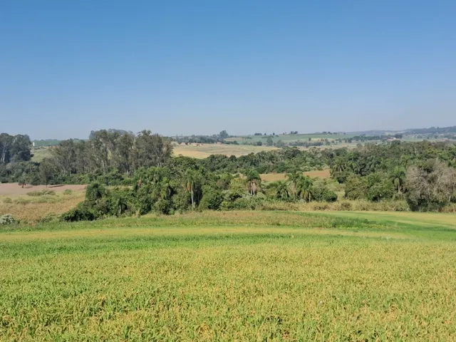 Imagem: Sitio em tatui 5 alqueires e meio Excelente