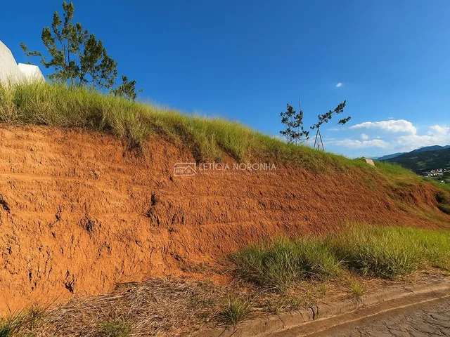 Imagem: Lote/Terreno, Jardim das Oliveiras - São