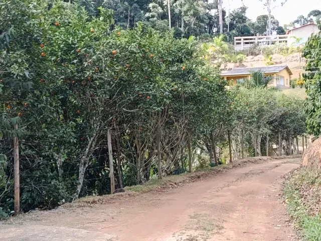 Imagem 14: SITIO RURAL em MELGAÇO - ES, Rota do IFES