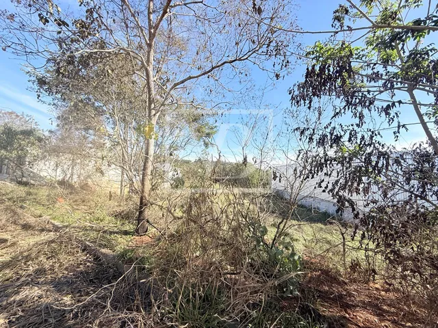Imagem: Lote à venda disponível no Bairro Tiradentes