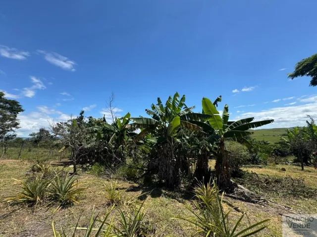 Imagem 9: SÍTIO RURAL em CAÇAPAVA - SP, RURAL