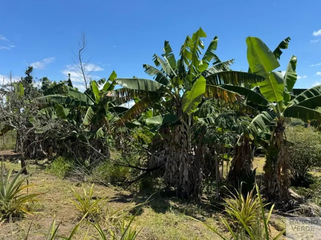 Imagem 6: SÍTIO RURAL em CAÇAPAVA - SP, RURAL